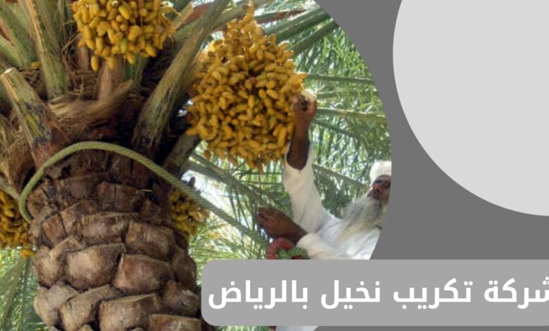 شركة تكريب نخيل بالرياض