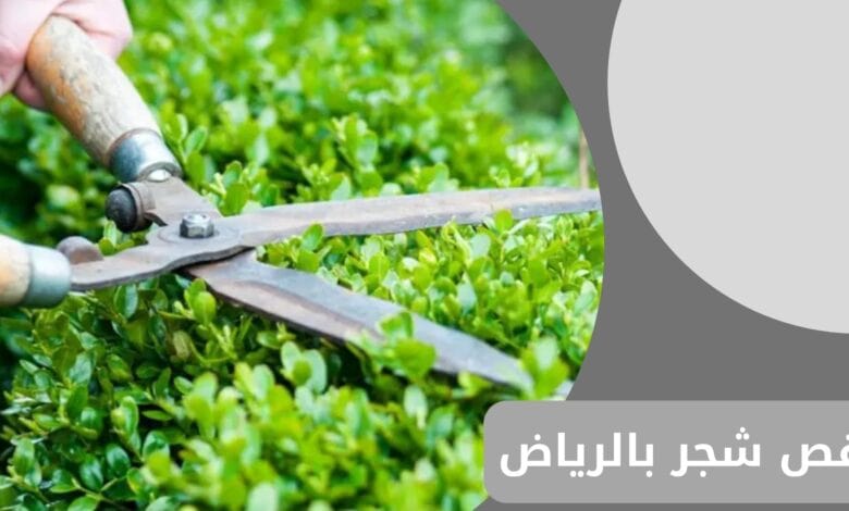 قص شجر بالرياض