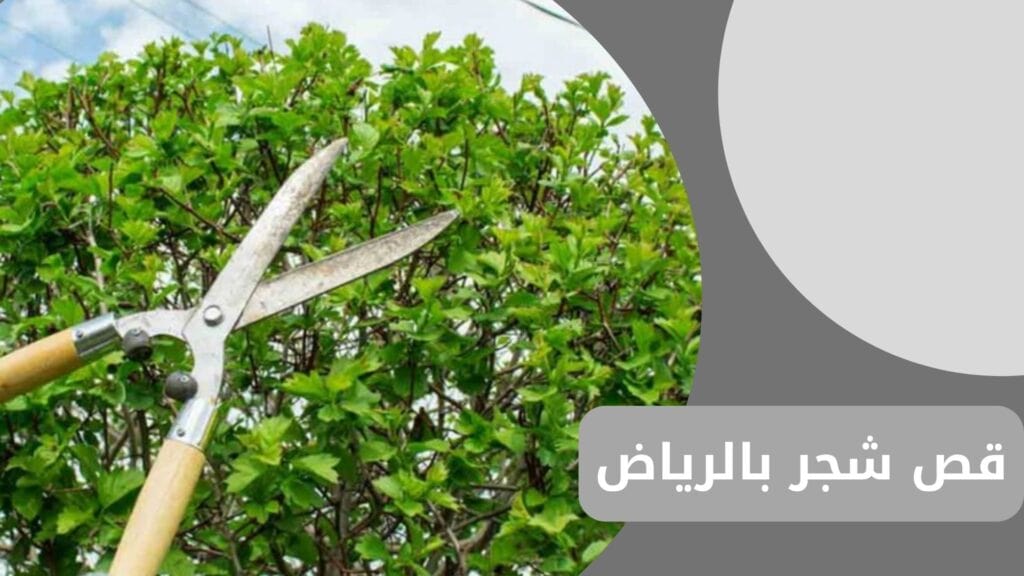 قص شجر بالرياض قص شجر بالرياض